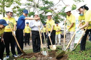 Lãnh đạo tỉnh Sóc Trăng, Tổng công ty Điện lực miền Nam tham gia trồng cây tại thị xã Ngã Năm