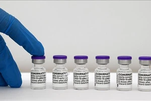 Vaccine ngừa Covid-19 của Pfizer-BioNTech. Ảnh: AFP/TTXVN