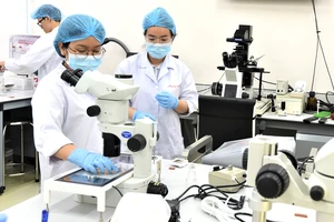 Sinh viên ngành Công nghệ sinh học Trường ĐH Quốc tế (ĐH Quốc gia TPHCM) thực hành tại phòng thí nghiệm 