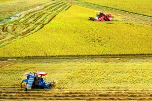 Nông nghiệp làm trụ đỡ nền kinh tế