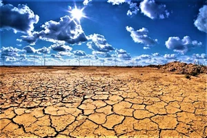 Biến đổi khí hậu gây thiệt hại 314 tỷ USD/năm