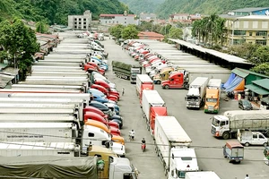 Bãi tập kết xe container chở nông sản Việt Nam xuất khẩu sang Trung Quốc tại cửa khẩu Tân Thanh - Lạng Sơn