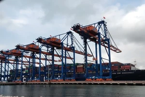 Cần lập quy hoạch chi tiết cảng biển Bà Rịa - Vũng Tàu