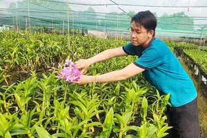 Thạc sĩ Nguyễn Văn Thạnh (ngụ xã Bình Chánh, huyện Bình Chánh) trở về nhà phát triển nông nghiệp