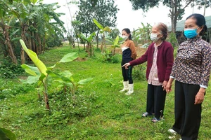 Bà Nguyễn Thị Nhung bên diện tích đất vườn hiến chuẩn bị mở đường