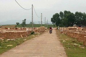 Khu TĐC Quỳnh Thắng (Quỳnh Lưu, Nghệ An) trở thành nơi tập kết, phơi gỗ nguyên liệu của người dân địa phương. Ảnh: DUY CƯỜNG