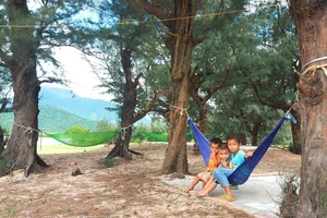 Các em nhỏ dưới tán rừng phi lao cổ thụ ở xã Kỳ Nam, thị xã Kỳ Anh, tỉnh Hà Tĩnh