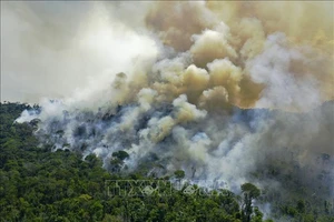 Khói bốc lên từ đám cháy rừng Amazon ở Novo Progresso, bang Para, Brazil. Ảnh: AFP/TTXVN