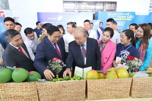 Thủ tướng Phạm Minh Chính tham quan gian hàng nông sản tại Hội nghị xúc tiến đầu tư tỉnh Hậu Giang năm 2022