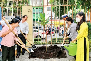 Phó Bí thư Thành ủy TPHCM Nguyễn Hồ Hải cùng các đại biểu trồng cây bàng vuông tại Trường Tiểu học Đinh Tiên Hoàng. Ảnh: VIỆT DŨNG