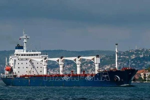 Tàu Razoni mang cờ Sierra Leon chở 26.000 tấn ngũ cốc của Ukraine di chuyển dọc Eo biển Bosphorus qua Istanbul, Thổ Nhĩ Kỳ ngày 3-8-2022. Ảnh: AFP/TTXVN