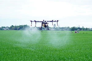 Hướng tới sử dụng thiết bị bay không người lái phun thuốc bảo vệ thực vật cho nông nghiệp