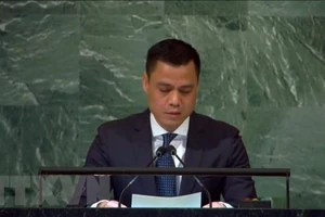 Đại sứ, Trưởng phái đoàn Việt Nam tại Liên hợp quốc Đặng Hoàng Giang phát biểu tại phiên họp. Ảnh: TTXVN 
