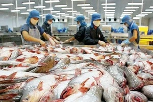 Năm 2022, xuất khẩu cá tra ước đạt 2,4 tỷ USD