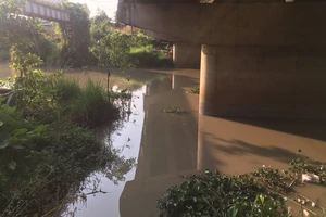Đồng Nai: Đình chỉ hoạt động, buộc di dời công ty xả thải làm ô nhiễm sông Buông 