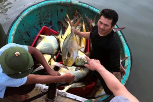 Ngư dân Hà Tĩnh trúng đậm mẻ cá chim vây vàng hơn 3 tấn 