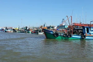 Tàu cá quay về chỉ ghi hồi ký, không phải nhật ký