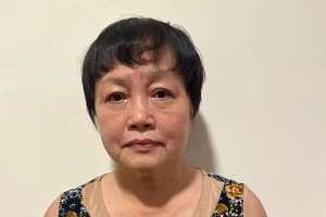 Bà Trần Thị Bình Minh, cựu Phó Giám đốc Sở KH-ĐT TPHCM