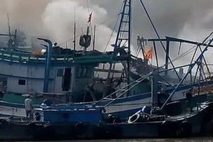 Điều tra nguyên nhân vụ cháy 6 tàu cá ở Tiền Giang