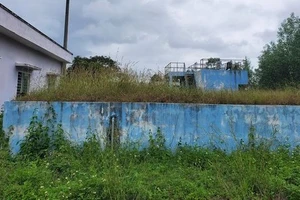 Cỏ dại bủa vây nhà máy nước sạch thị trấn Vân Canh trước đó