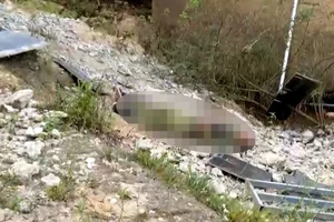 Lan can cầu đổ xuống đất khiến 1 người tử vong