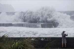 Sóng lớn xô bờ khi bão Haikui đổ bộ vào Đài Loan, Trung Quốc, ngày 3-9. Ảnh: AFP/TTXVN