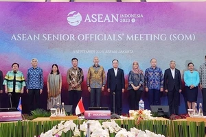 Các quan chức cao cấp (SOM) ASEAN tham dự hội nghị chụp ảnh lưu niệm. Ảnh: TTXVN