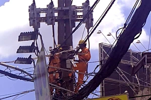 Nhân viên EVNHCMC thực hiện bảo trì lưới điện tại quận Tân Phú, TPHCM