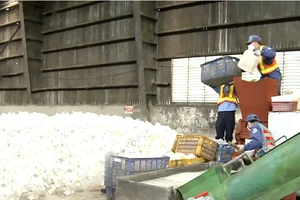 Nhà máy tái chế chất thải y tế không nguy hại tại Công ty TNHH MTV Môi trường đô thị TPHCM