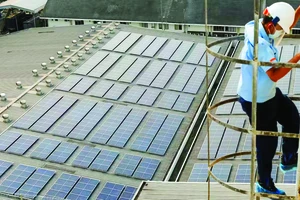 Đầu tư tấm pin mặt trời ở Indonesia. Ảnh: REUTERS