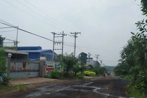 Các nhà xưởng với quy mô lớn được xây dựng trong CCN Phước Tân