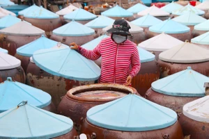 Sau nhiều tháng ủ chượp, nước mắm truyền thống Phan Thiết đã chín và sẵn sàng cung ứng cho thị trường dịp tết