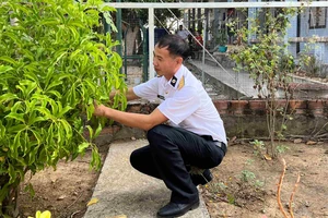 Thượng úy, y sĩ Nguyễn Văn Muộn chăm sóc vườn thuốc nam