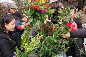 30 Tết tại chợ hoa lâu đời nhất Hà Nội 