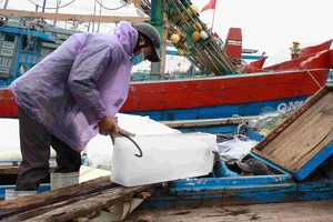 Quảng Ngãi: Đầu năm, tàu cá lo thiếu lao động biển