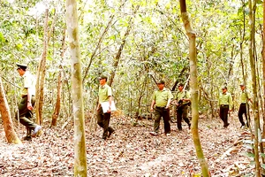 Lực lượng chức năng kiểm tra các vị trí có nguy cơ cháy rừng tại Khu bảo tồn thiên nhiên - văn hóa Đồng Nai