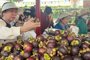 Măng cụt cũng là loại trái cây yêu thích được người tiêu dùng chọn mua tại lễ hội