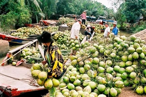 Các đại biểu tham dự hội thảo