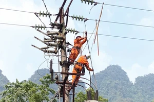 Phú Yên: Xuất hiện nhiều trường hợp mạo danh cán bộ điện lực để lừa đảo