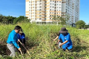Dọn dẹp vệ sinh khu vực dân cư phường Đông Hưng Thuận