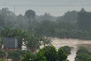 Giải cứu nhiều hộ dân mắc kẹt trong lũ ở Bình Phước