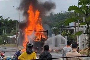 Đồng Nai: Xe tải bốc cháy dữ dội trên Quốc lộ 20