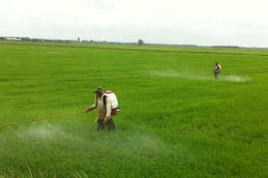 Giải pháp phát triển nông nghiệp Tây Ninh