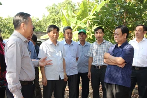Bộ trưởng Bộ NN- PTNT Lê Minh Hoan khảo sát xây dựng nông thôn mới tại tỉnh Bình Phước