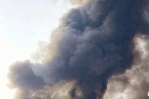 Cháy lớn thiêu rụi xưởng mùn cưa, ván ép ở Đồng Nai