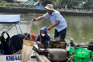 Cá chết ở làng bè Tân Mai: Lượng oxy hoà tan trong nước xuống thấp 