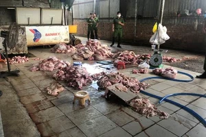 Đồng Nai: Phát hiện 1,2 tấn thịt heo bốc mùi hôi thối 
