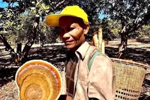 Người đàn ông lạc 20 ngày trong Vườn quốc gia Cát Tiên: Đã tìm thấy thi thể