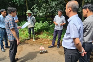 Thảm nhựa đường Sông Nhạn - Dầu Giây khi trời mưa: Lấy 3 mẫu bê tông nhựa nóng đi giám định 