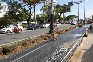 Đà Nẵng: Tổ chức điều chỉnh một phần lộ trình các tuyến xe buýt